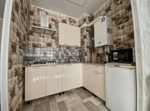 Квартира студия Green FOX с видом на Собор Святого Владимира