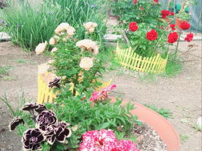 Гостевой Дом Коттедж у Моря