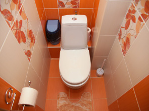 Апартаменты Рыжий Кот возле Парка