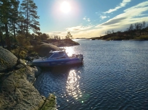 Гостевой дом Hoglund Gard