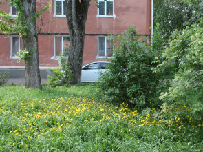 Апартаменты Пряженникова 61