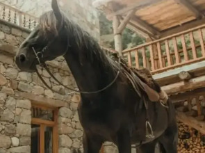 Гостевой дом Жангуразовых