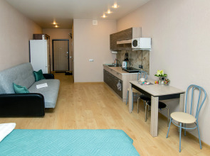 Квартира-студия  в Старой Купавне