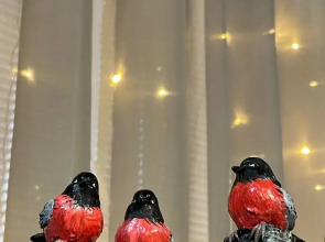 Отель Снегири