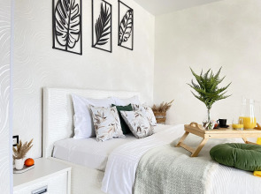 Апартаменты Тропическая Студия