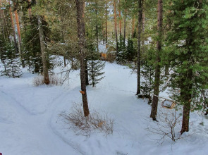 Парк-отель Бия Заповедная