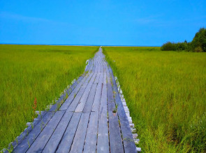 Гостевой Дом Заимка