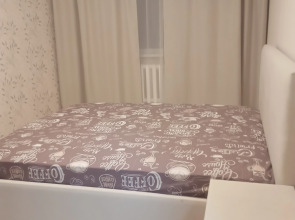 Апартаменты на Гаврюшина 15-46