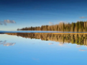 Апартаменты Валдай Пространство мечты 1