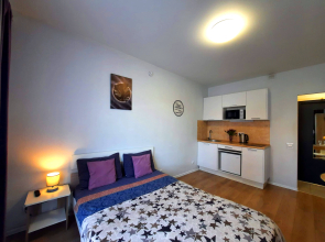 Апартаменты Вторая Студия на Ларюшина 4/2