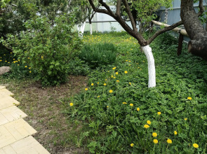 Гостевой дом Мариенбург Гатчина