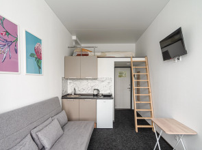 Апартаменты Нижний Ораниенбаум (304)