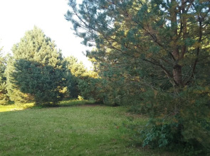 Частный дом Хитрый Лис 1