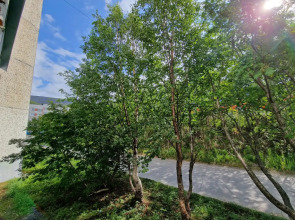 Квартира Олимпийская 69-21