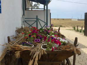 Zhemchuzhina Stepi Guest House