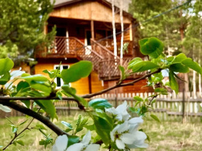 Гостевой дом Сельская усадьба