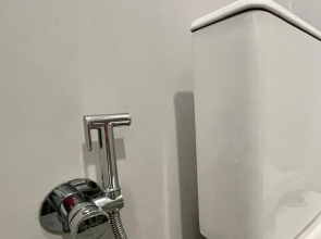 Апартаменты Лебедь