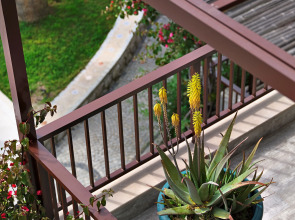 Бутик-отель Dorman suites