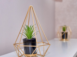 Апартаменты VIAHOME на Толстого