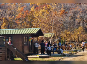 База отдыха парк отдыха Лесное озеро