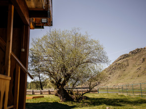 Гостевой дом Алтайские дачи