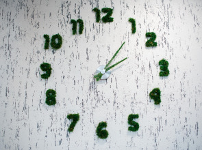 База отдыха Широкая