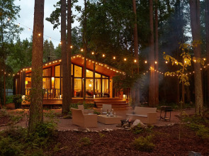 Частный дом Большая Репинская дача в лесу