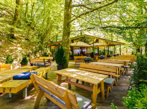 ЛЕС Глэмпинг и SPA