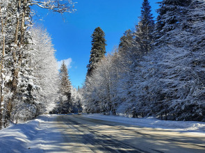 Апартаменты Вершина Апарт 910Б