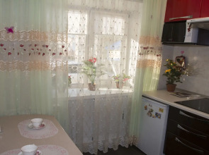 Апартаменты Елизаровых 45