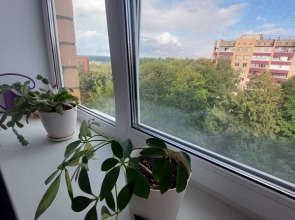 Квартира Коралл