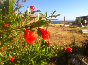 База Отдыха Эко Курорт Морское