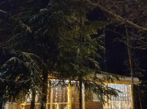 Гостевой дом на опушке леса