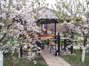 Мини-Отель Добрый Бобр