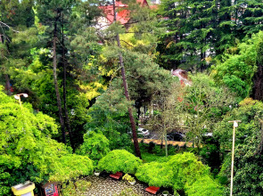 Апартаменты Гости Сочи