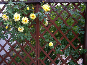 Гостевой Дом Светоч