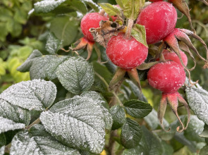 Гостевой дом Моя Провинция