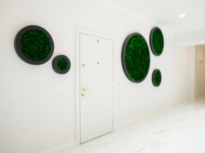 Апартаменты Виктория Штольц