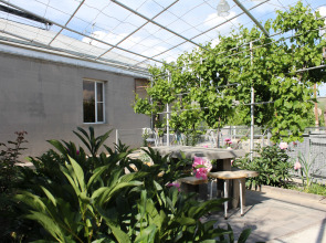 Гостевой Дом Lusya B&B