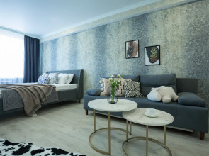 Апартаменты «Атмосфера» | Городская Саванна — Городская Саванна— Гармония Природы И Комфорта