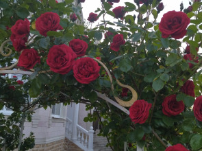 Гостевой Дом Елена