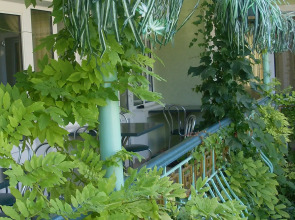 Гостевой дом Изумрудный