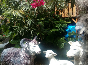 Гостевой Дом Иван да Марья