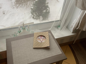 Гостевой дом на втором Тригорском