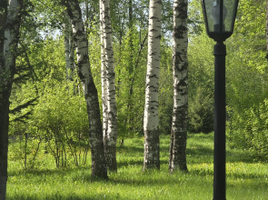 Отель Бизнес Пушкинъ