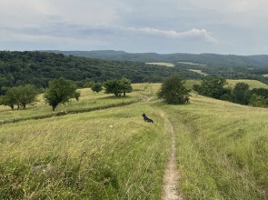 Частный дом Дизайнерский Барнхаус