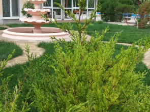 Меблированные комнаты Гринвич