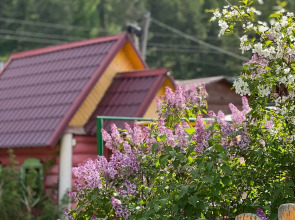 База отдыха Барская Усадьба