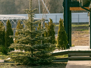 Отель Кавказский Целитель