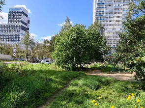 Апартаменты Просторные с видом на парк